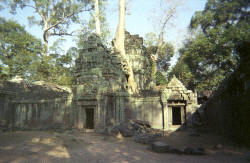 Ta Prohm