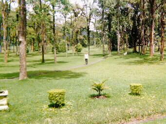 botanic garden